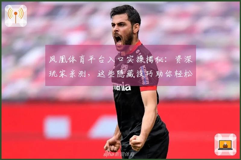凤凰体育平台入口实操揭秘：资深玩家亲测，这些隐藏技巧助你轻松制霸游戏新版本