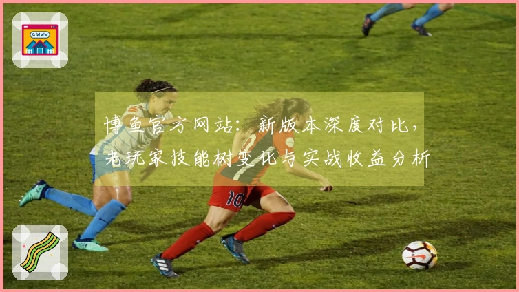 博鱼官方网站：新版本深度对比，老玩家技能树变化与实战收益分析