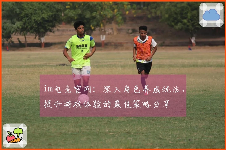 im电竞官网：深入角色养成玩法，提升游戏体验的最佳策略分享