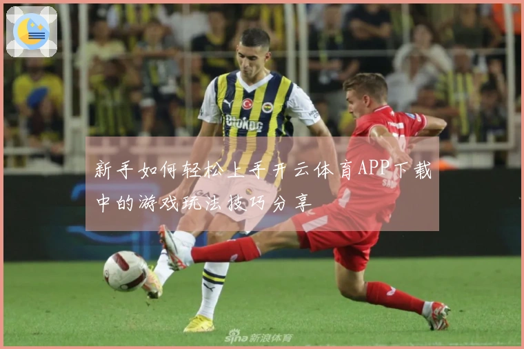 新手如何轻松上手开云体育APP下载中的游戏玩法技巧分享