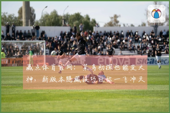 赢点体育官网：菜鸟初探也能变大神，新版本隐藏技巧让你一飞冲天