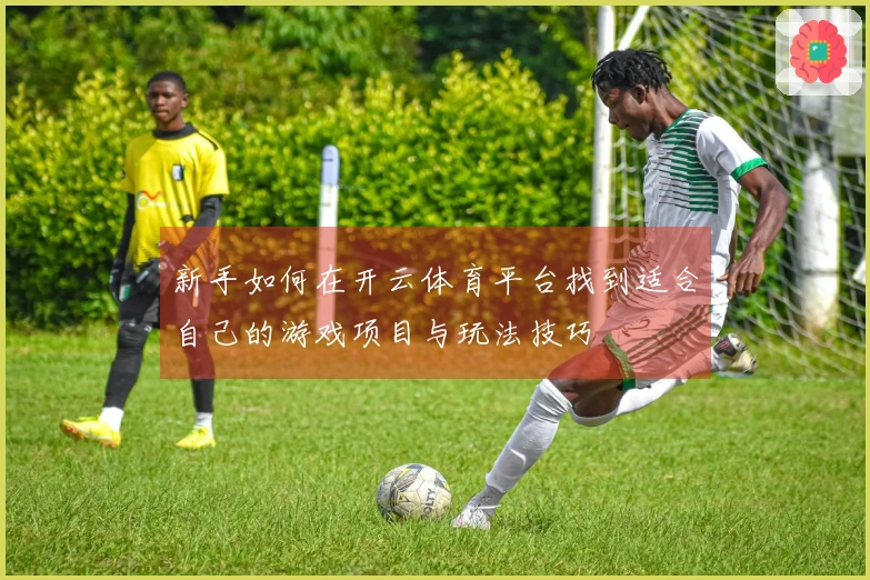 新手如何在开云体育平台找到适合自己的游戏项目与玩法技巧