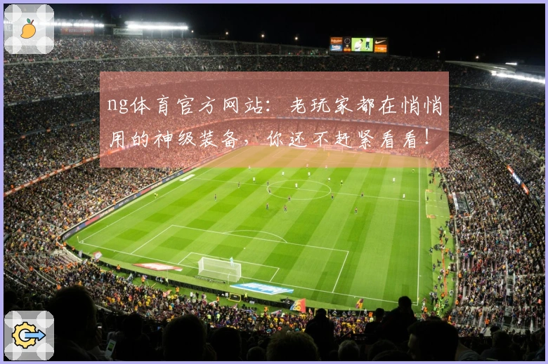 ng体育官方网站：老玩家都在悄悄用的神级装备，你还不赶紧看看！